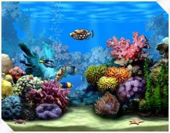 marine-aquarium.jpg